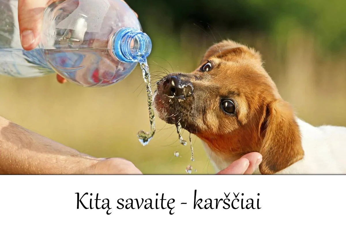 Artėja karščiai