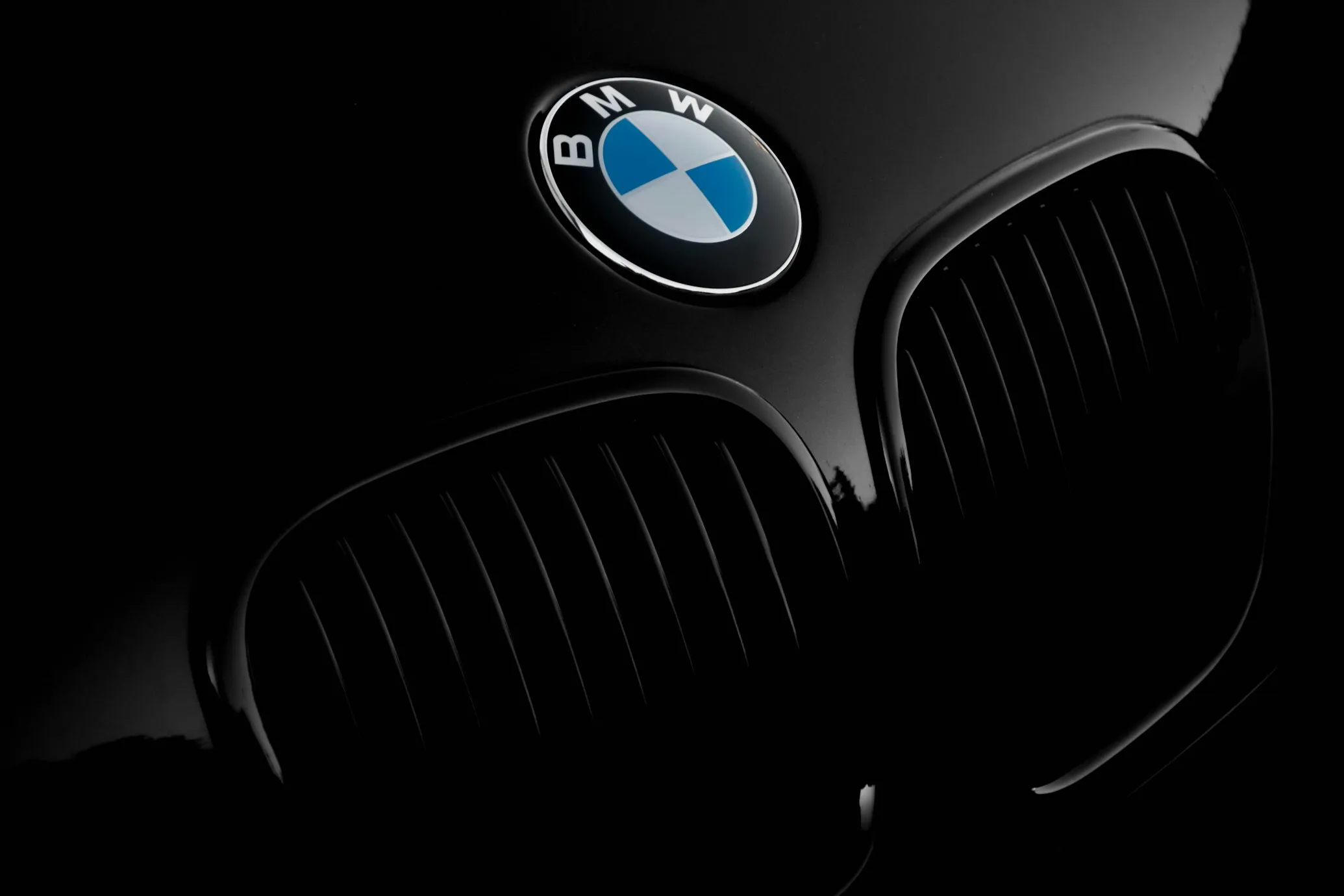 BMW logotipas