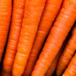 Morkų derlius bus itin gausus