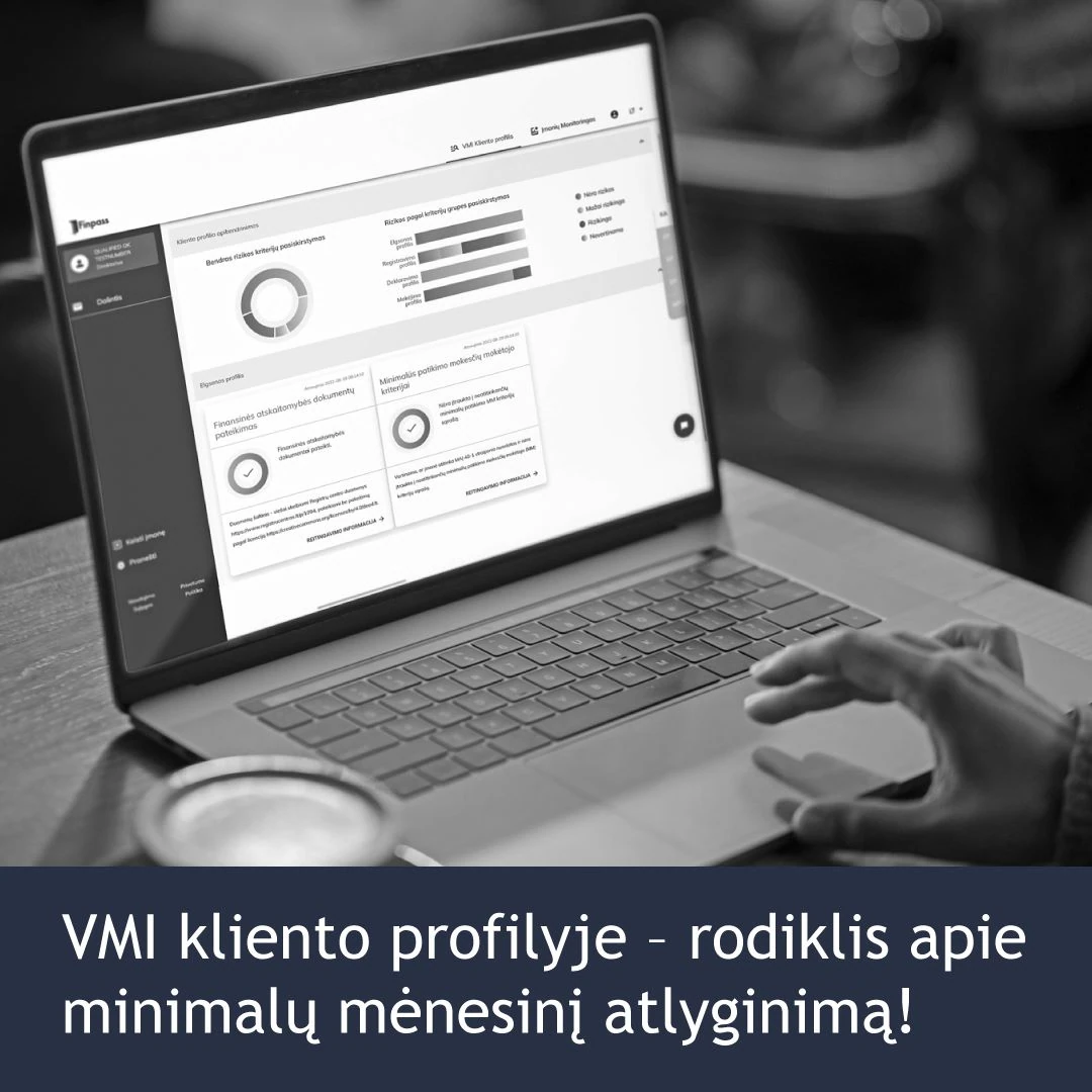 vmi-240328-kliento-profilis-rodiklis-menesinis-atlyginimas