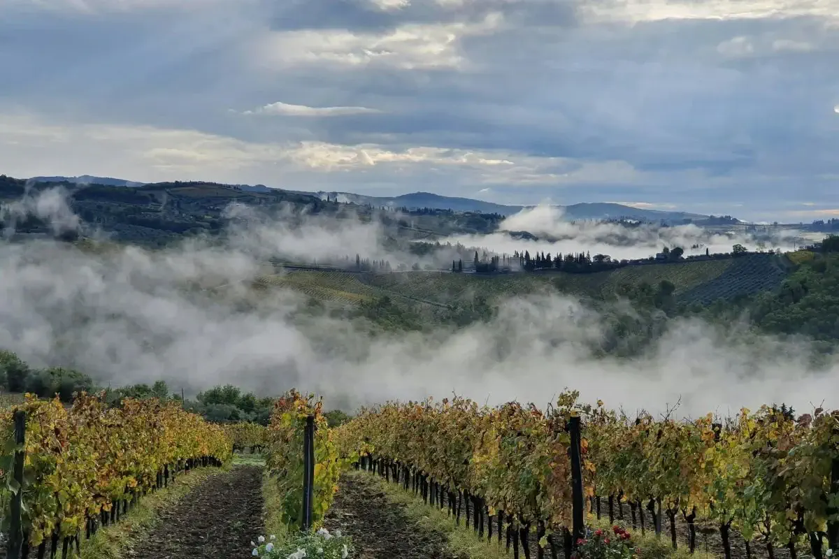 Italijos Toscana regionas