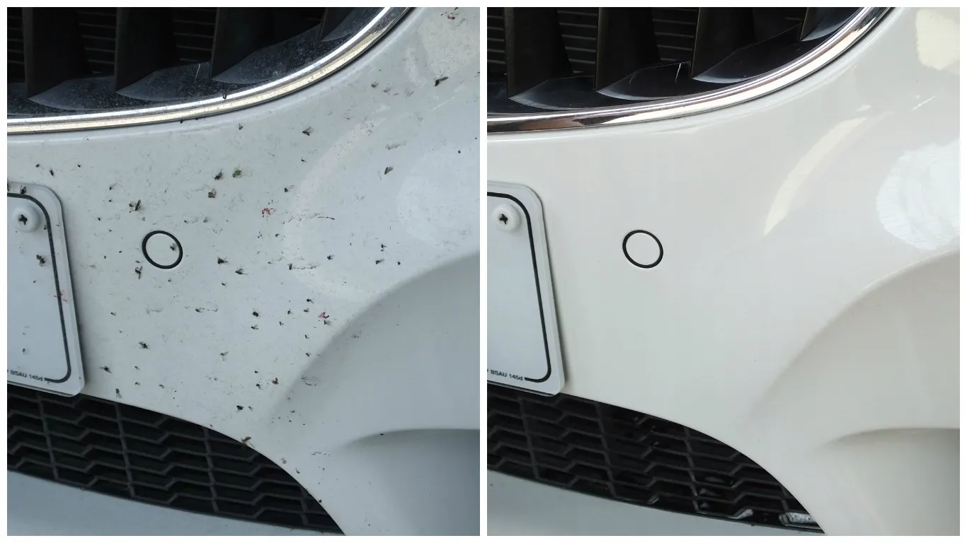Vabzdžiai ant automobilio