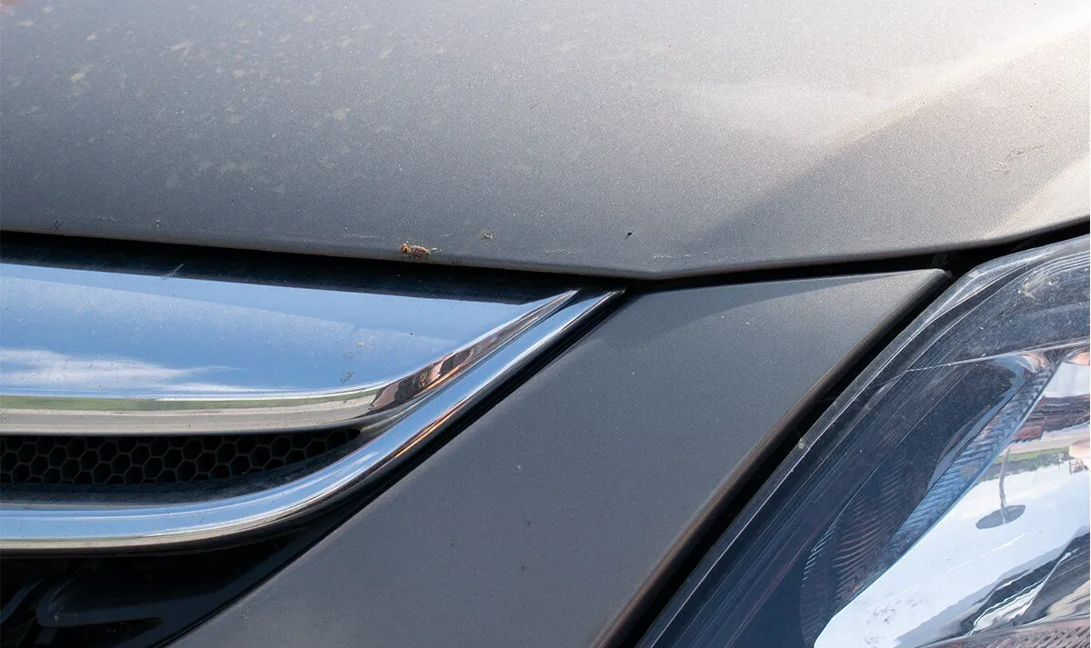Vabzdžių liekanos ant automobilio
