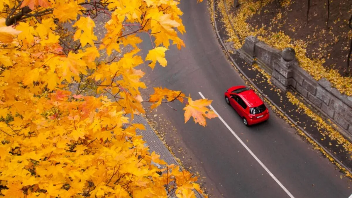 Automobilis rudenį