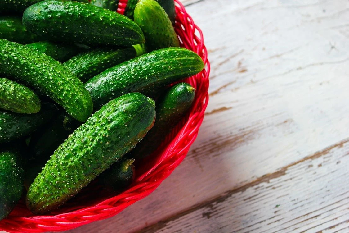 Šešios priežastis, kodėl verta šiuo produktu apdoroti agurkus