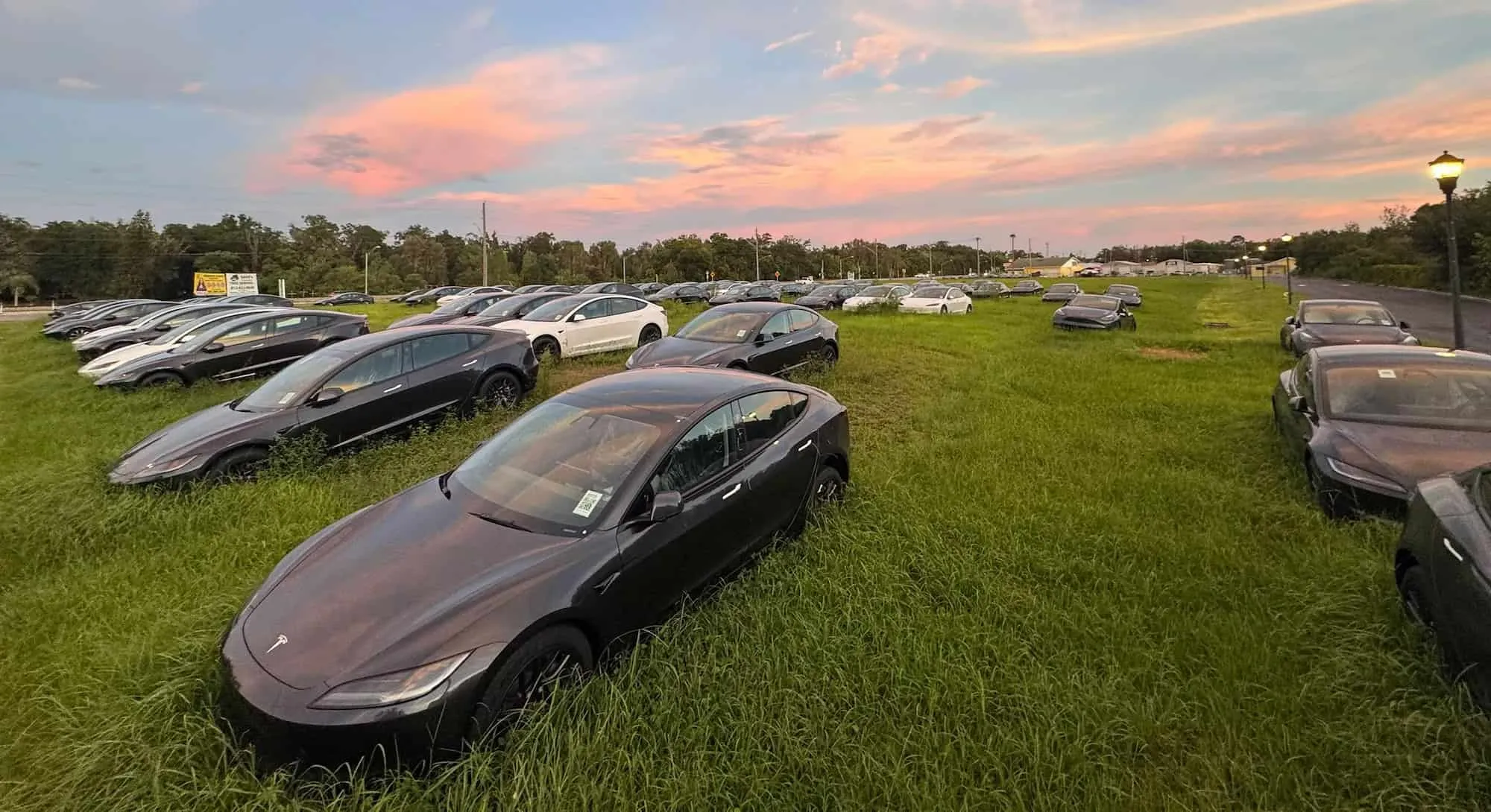 Tesla automobiliai laukuose