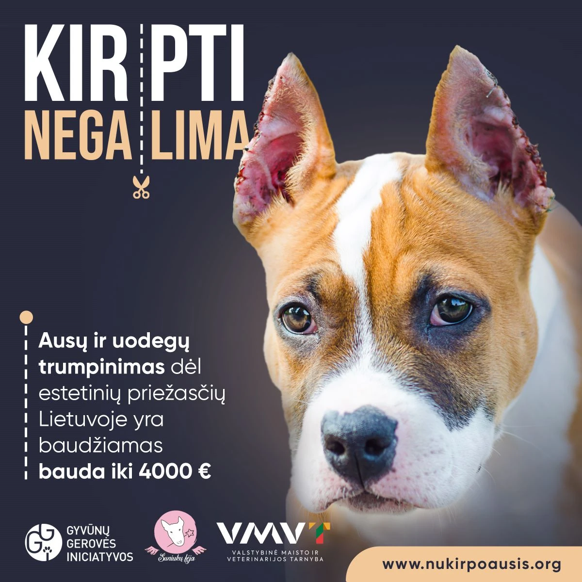 Kirpti negalima 3
