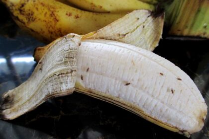 Vaisinės muselės ant bananų / gardenerspath nuotr.