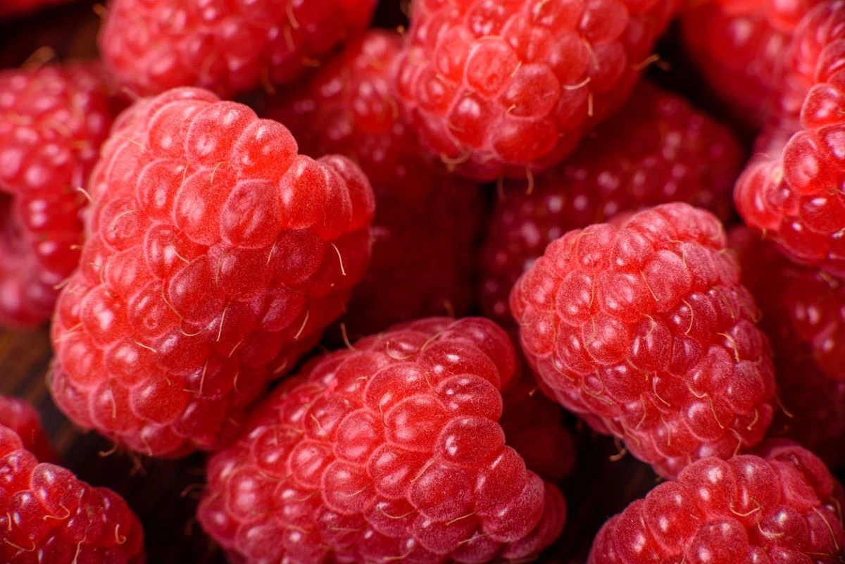 Pasirūpinkite aviečių trąšomis