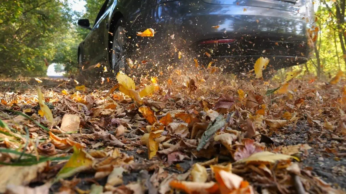 Rudens lapai ir slidi kelio danga