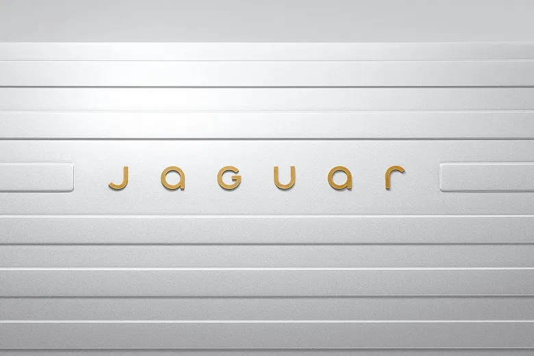Jaguar nuotrauka 2