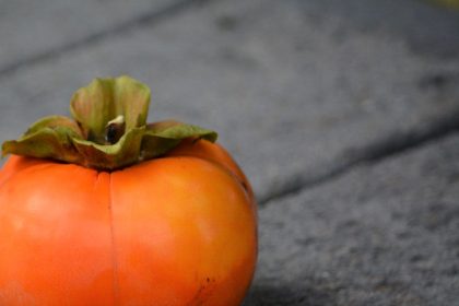 Kiek galima suvalgyti persimonų