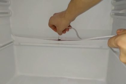 Slapta skylutė šaldytuve