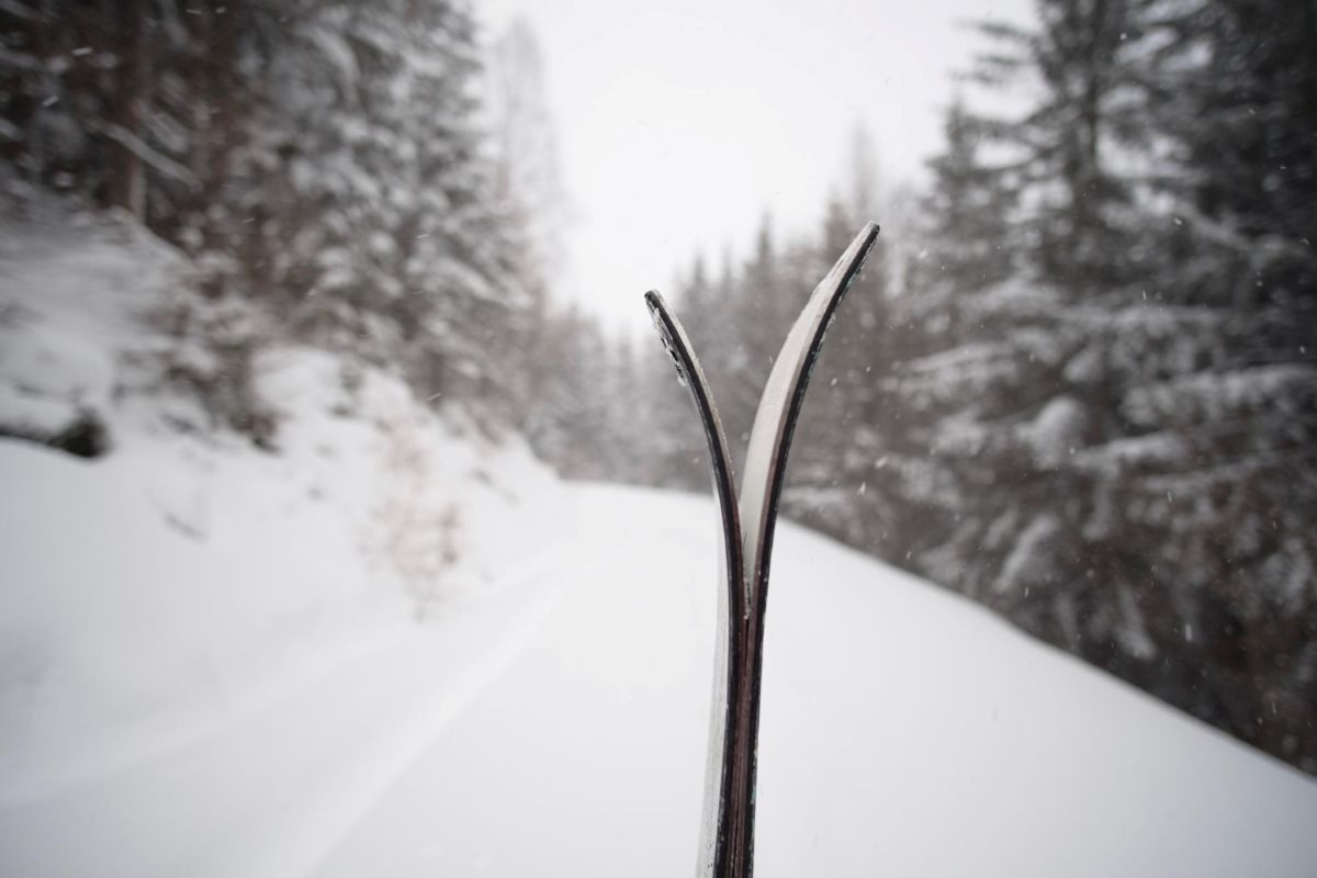 Sniego trūkumas žiemą slidinėjimui