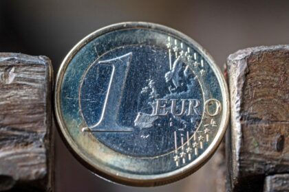 1 euro moneta gali būti vertinga