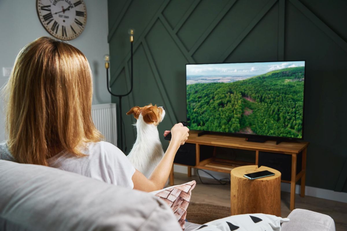 ECO nustatymai televizoriuje