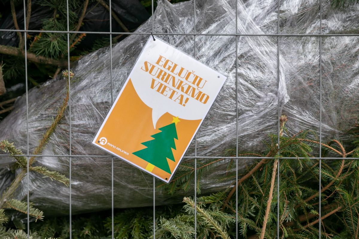 Eglučių surinkimo vietos Lietuvoje | Nuotr. S. Žiūros