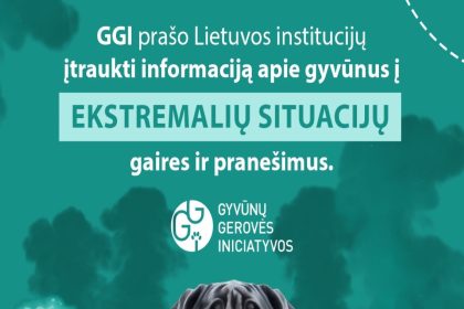 GGI ekstremalios situacijos