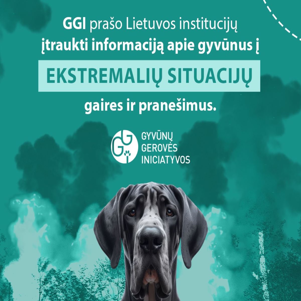 GGI ekstremalios situacijos