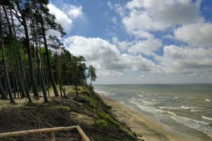 Olandų kepurė skardis