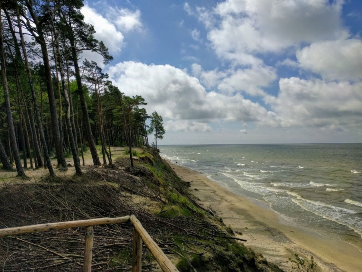 Olandų kepurė skardis