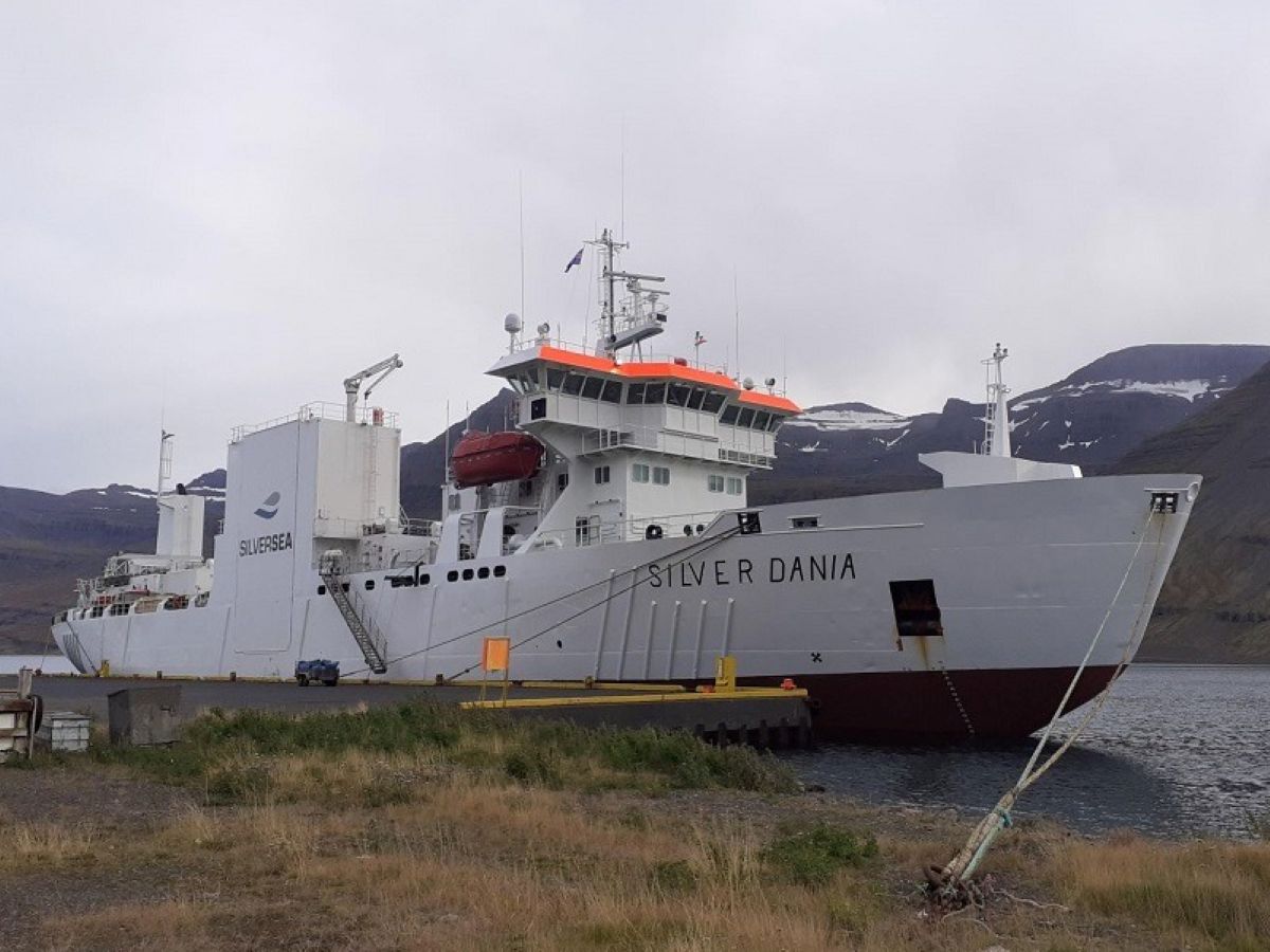 Silver Dania laivas