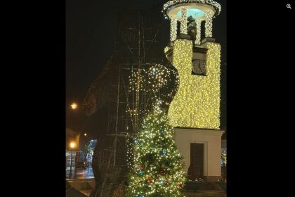 Telšiai, sudegusi meška