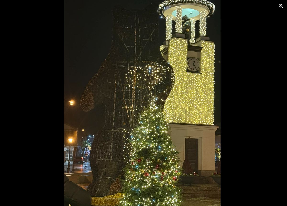 Telšiai, sudegusi meška