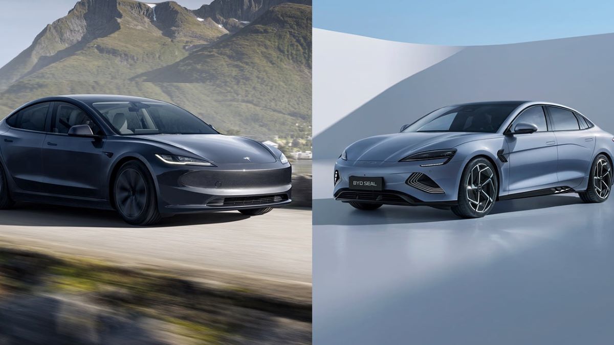 Tesla prieš BYD