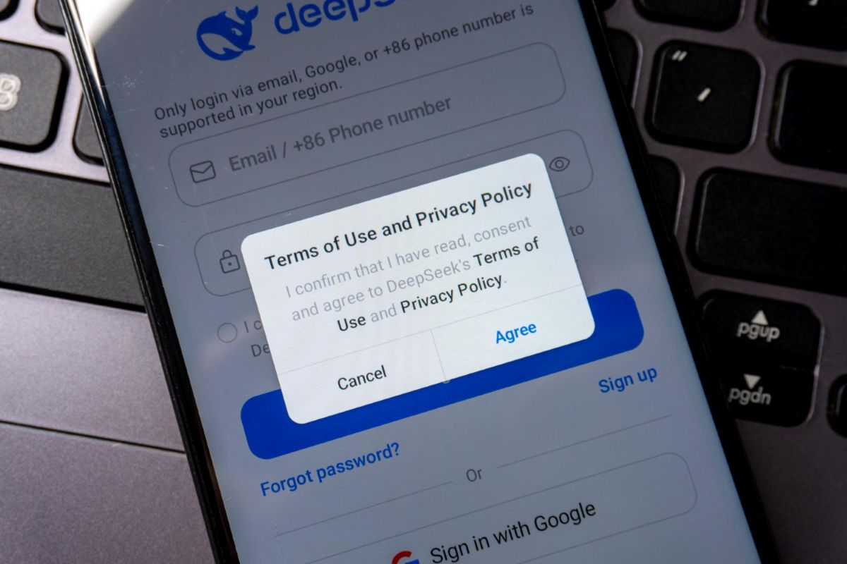 DeepSeek ir jūsų privatumas