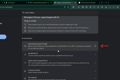 Google Chrome automatinis slaptažodžių parinkimas