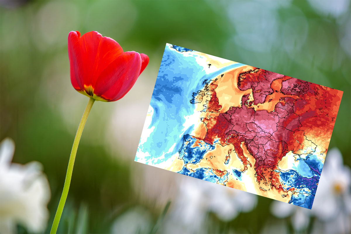 Ilgalaikė prognozė kovo mėnesiui