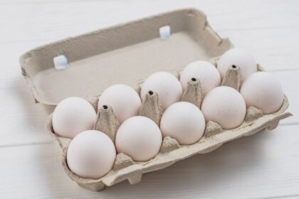 Kartoninė kiaušinių pakuotė