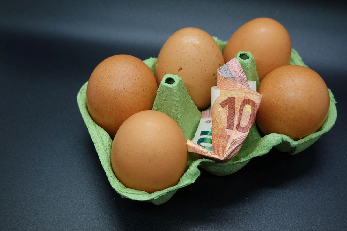 Kiaušinių kainos Lietuvoje
