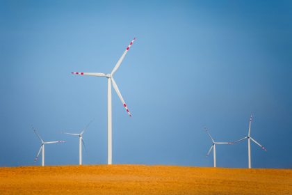 Neigiamos elektros kainos