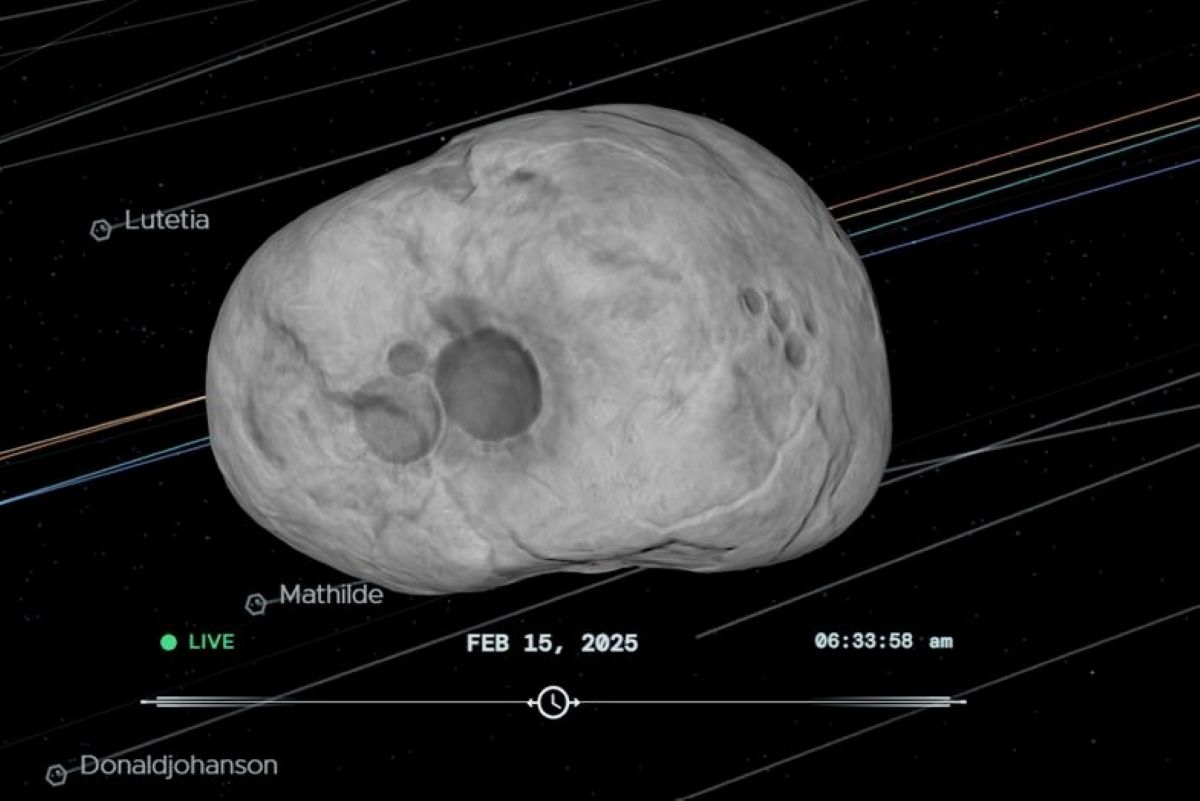 Nustatytos galimos asteroido YR4 susidūrimo su Žeme vietos | NASA nuotr.