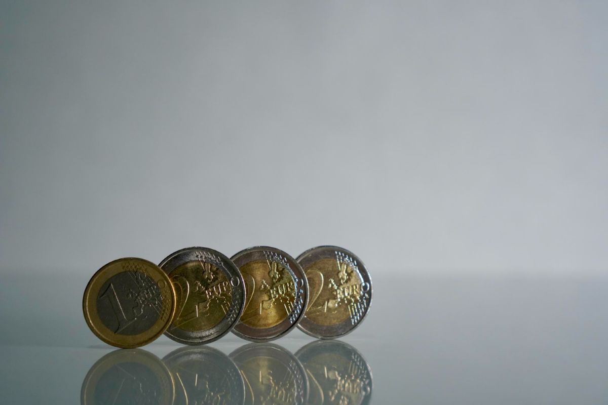Vertingos euro monetos