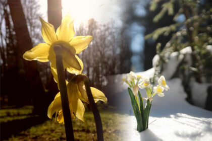 Balandį sulauksime ir šilumos r sniego