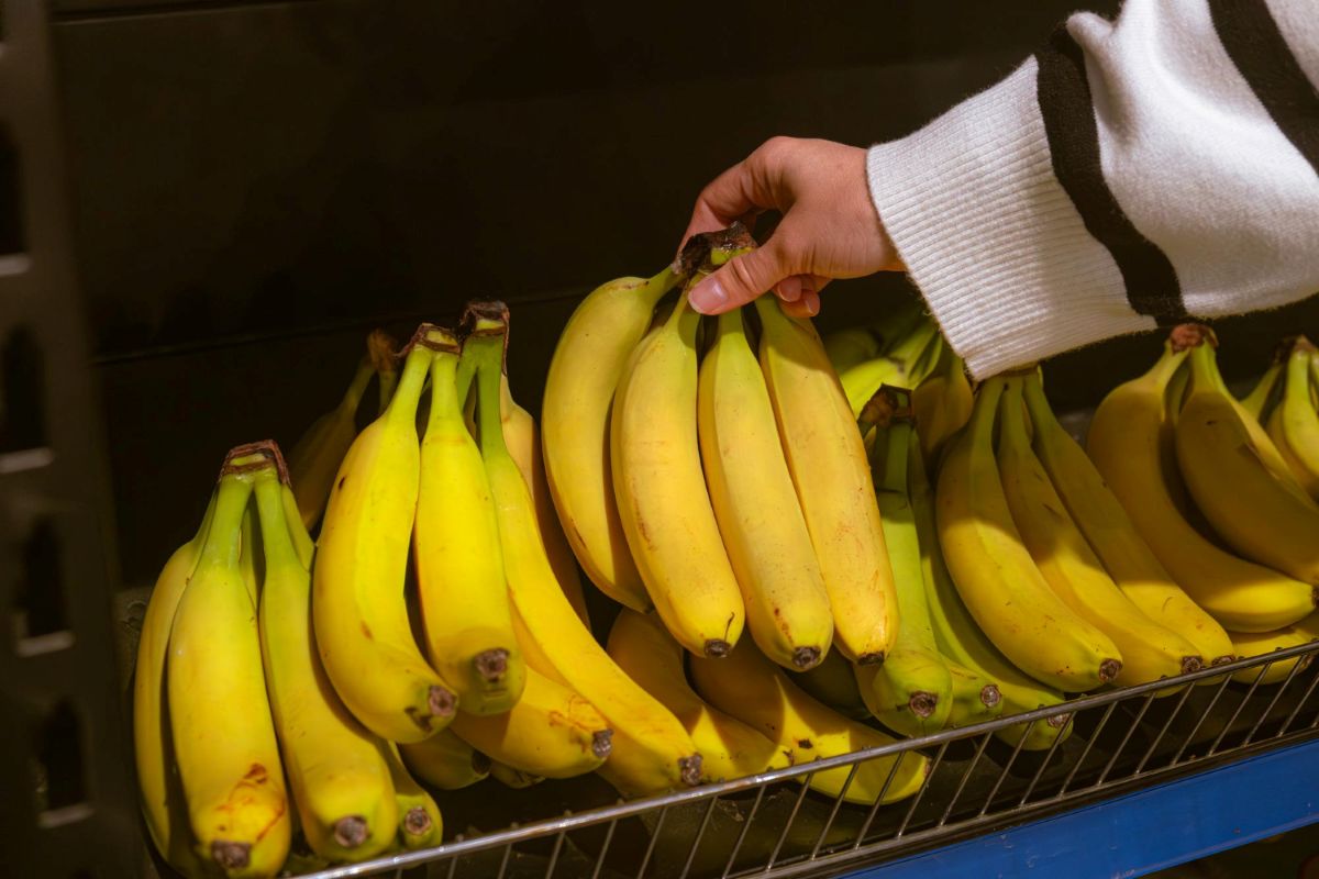 Bananai gali išnykti