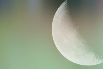 Mėnulio kalendorius augalų priežiūrai
