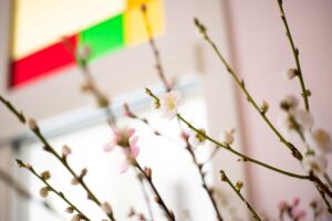 Pavasario lygiadienis