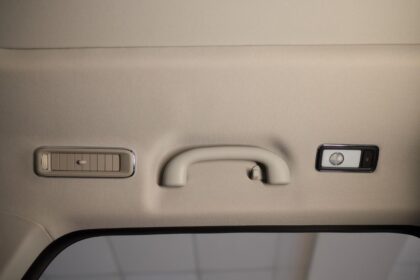 Rankena automobilio viduje