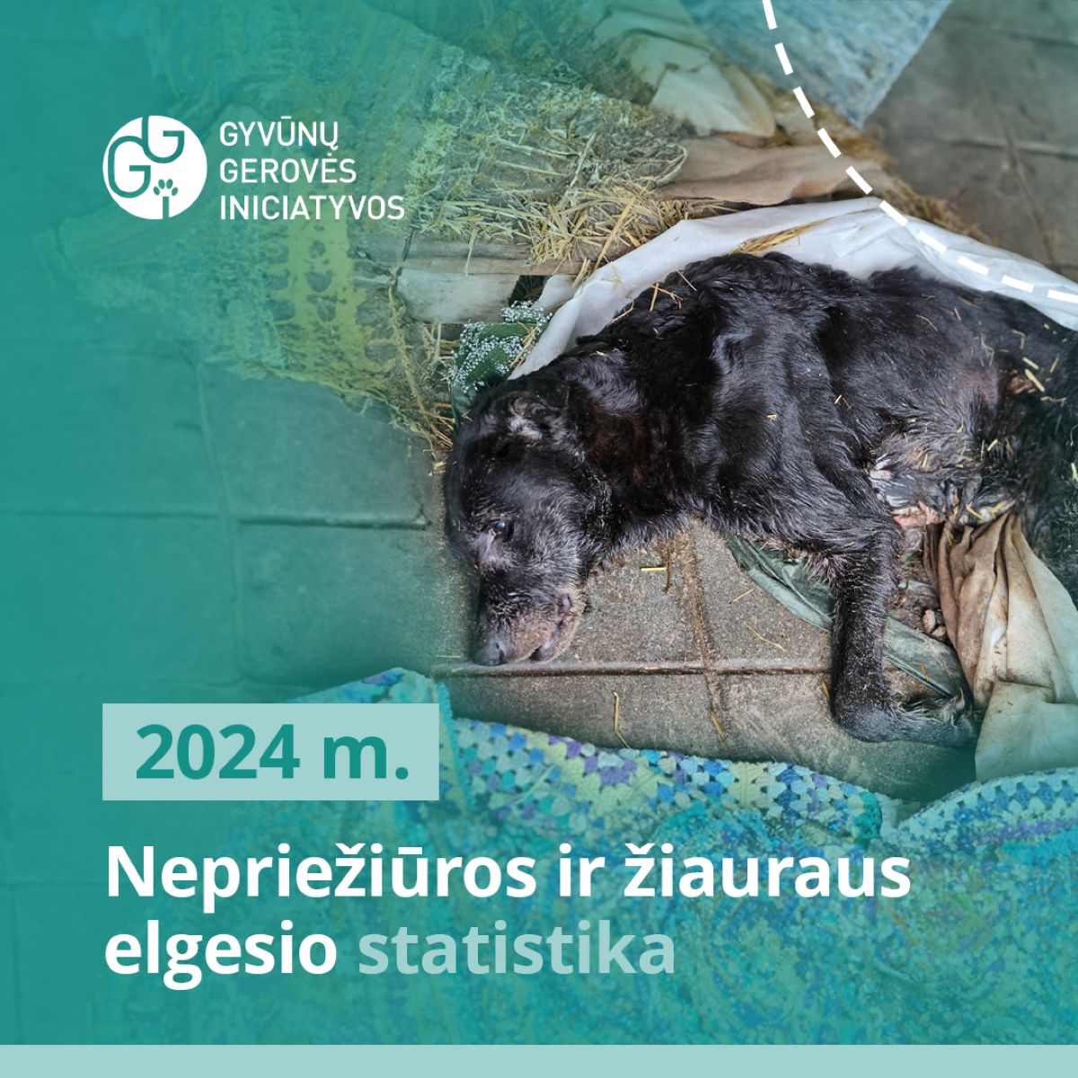 Žiaurus elgesys su gyvūnais