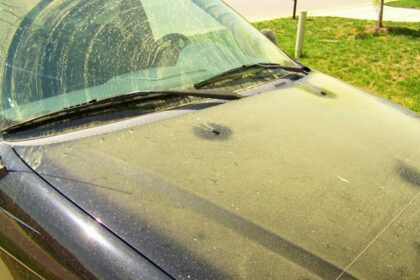 Žiedadulkės ant automobilio