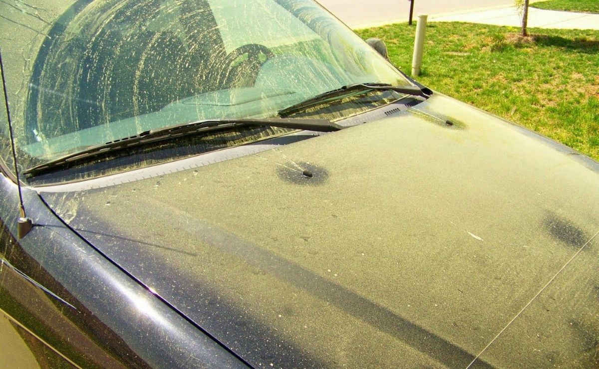 Žiedadulkės ant automobilio