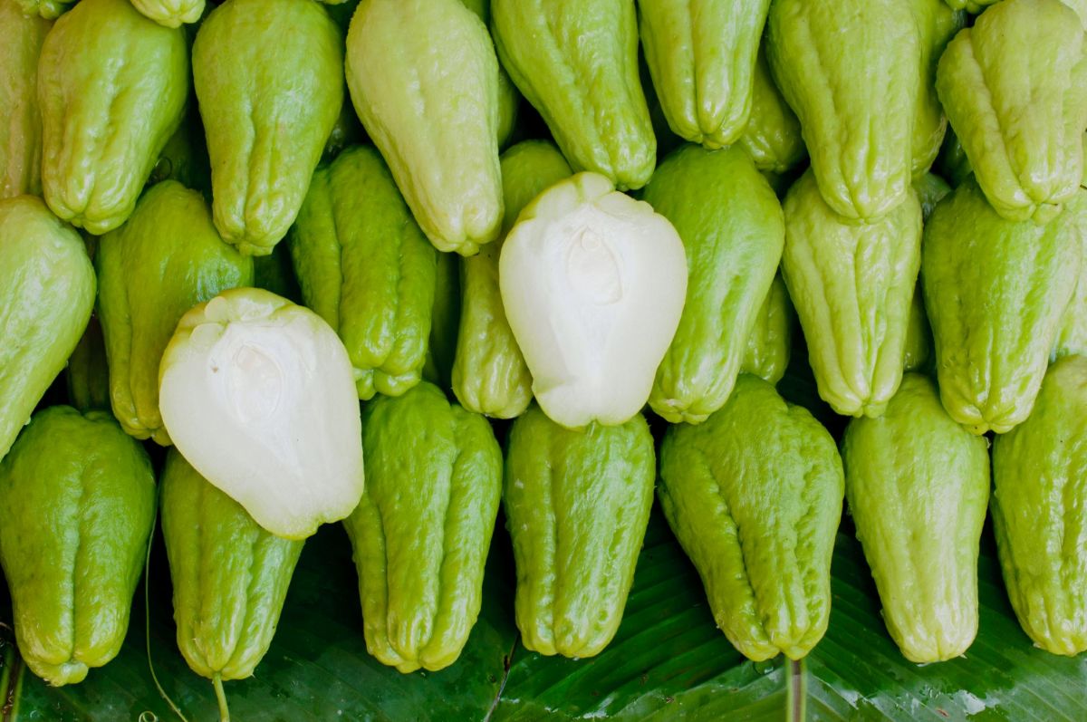 Chayote