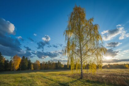 Kitą savaitę orų pokyčiai / Freepik DI nuotr.