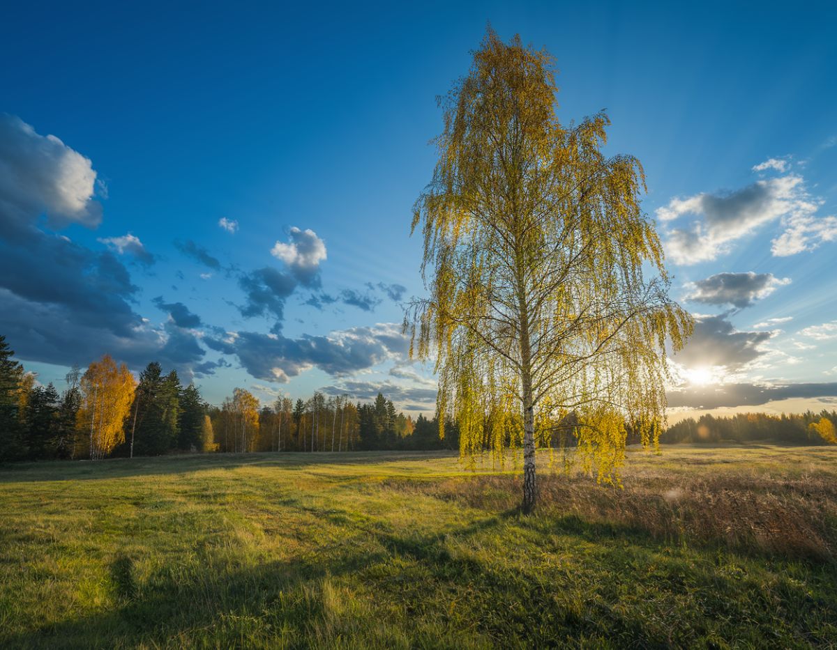 Kitą savaitę orų pokyčiai / Freepik DI nuotr.