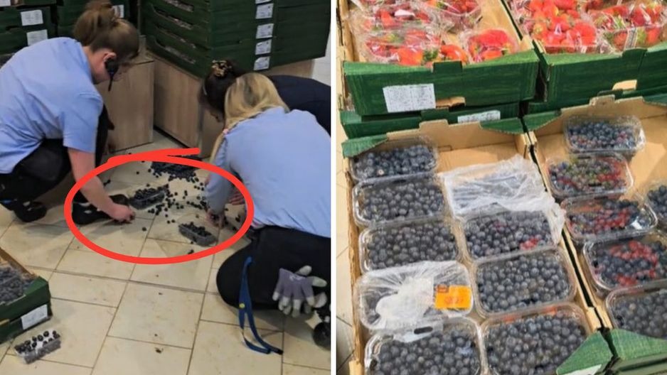 Lidl išsibarsčiusios uogos