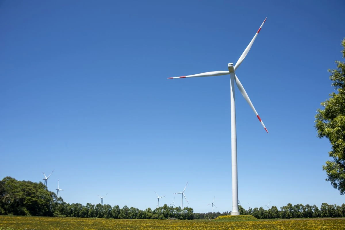 Dėl vėjuotų orų mažėjo elektros kaina